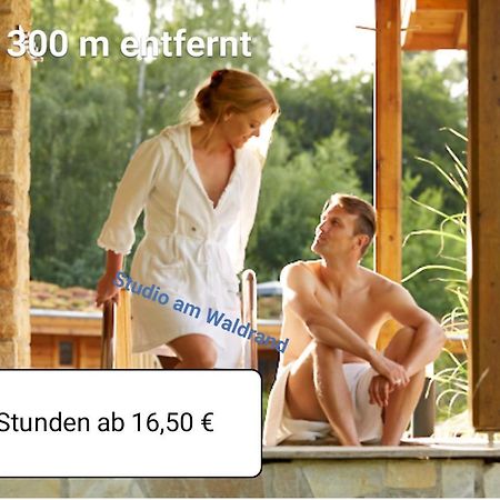Studio Am Waldrand Wadgassen Extérieur photo